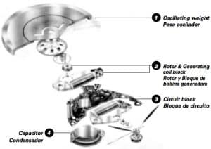 Kinetic watch vs online automatic watch