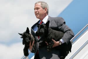 Presidents George W. Bush & George H.W. Bush Watches I Know Watches