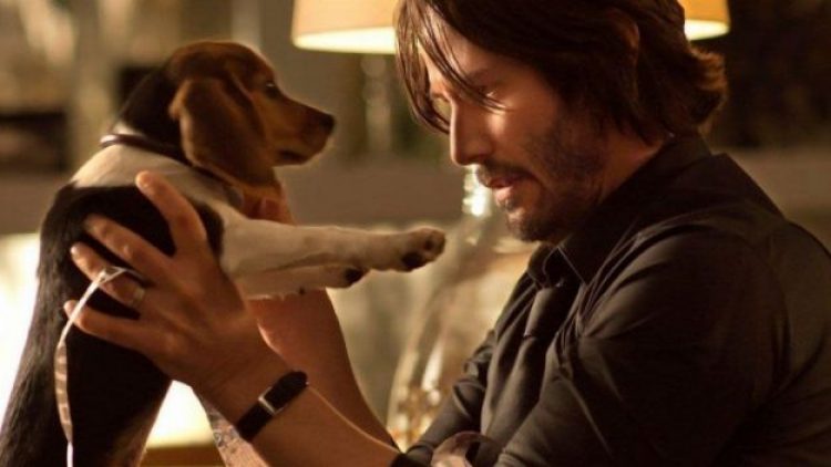 john wick watch inside out john wick watch inside out